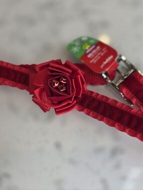 *4 For $25* Red Velvet Dog Collar With Flower